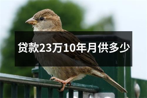 贷款23万10年月供多少