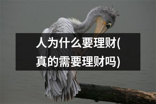 人为什么要理财(真的需要理财吗)