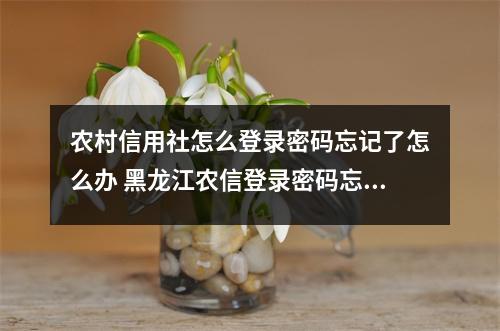 农村信用社怎么登录密码忘记了怎么办 黑龙江农信登录密码忘了怎么办