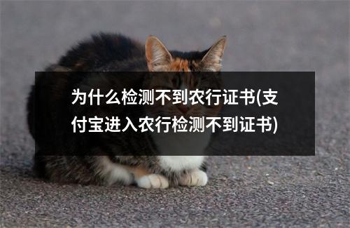 为什么检测不到农行证书(支付宝进入农行检测不到证书)