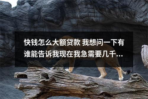 快钱怎么大额贷款 我想问一下有谁能告诉我现在我急需要几千快钱该怎么做才能得到