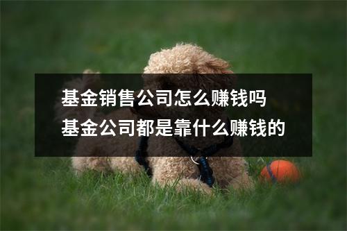 基金销售公司怎么赚钱吗 基金公司都是靠什么赚钱的