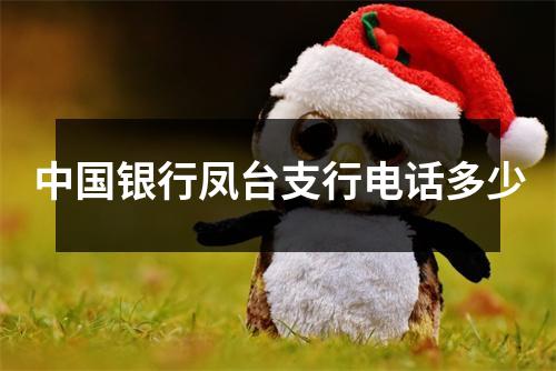 中国银行凤台支行电话多少