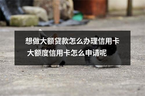 想做大额贷款怎么办理信用卡 大额度信用卡怎么申请呢