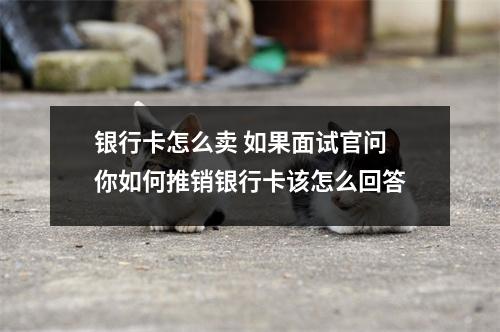 银行卡怎么卖 如果面试官问你如何推销银行卡该怎么回答