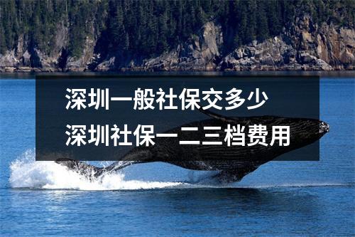 深圳一般社保交多少 深圳社保一二三档费用