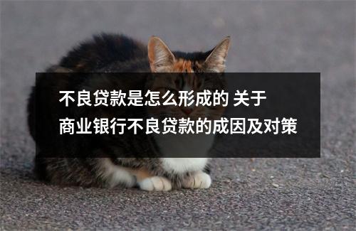 不良贷款是怎么形成的 关于 商业银行不良贷款的成因及对策
