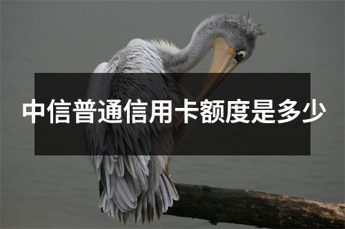 中信普通信用卡额度是多少