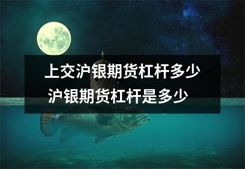 上交沪银期货杠杆多少 沪银期货杠杆是多少
