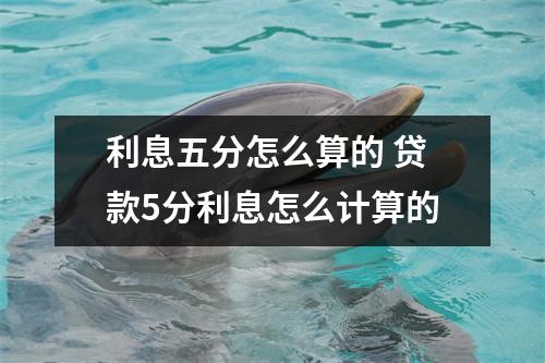 利息五分怎么算的 贷款5分利息怎么计算的