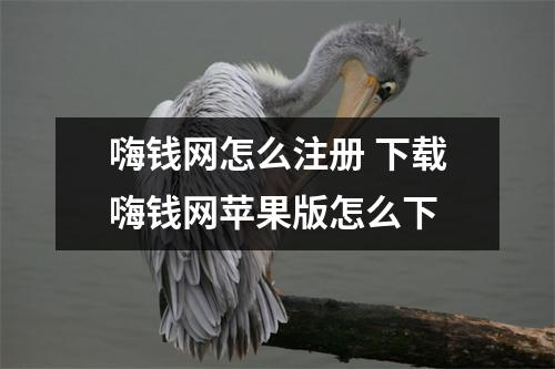 嗨钱网怎么注册 下载嗨钱网苹果版怎么下