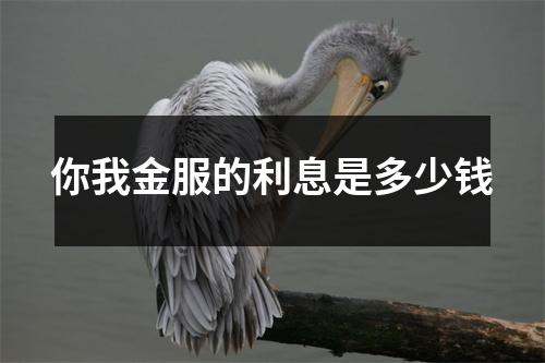 你我金服的利息是多少钱
