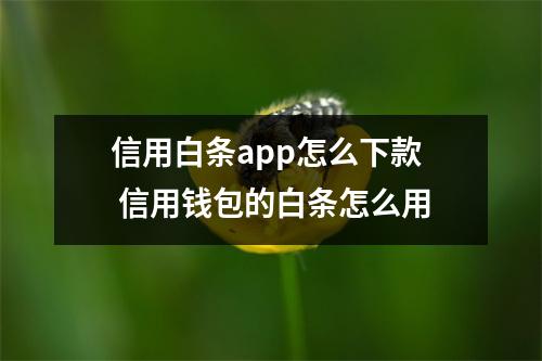 信用白条app怎么下款 信用钱包的白条怎么用