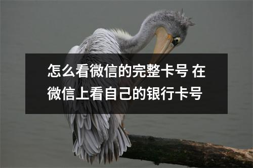 怎么看微信的完整卡号 在微信上看自己的银行卡号