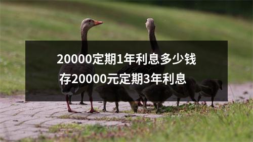 20000定期1年利息多少钱 存20000元定期3年利息