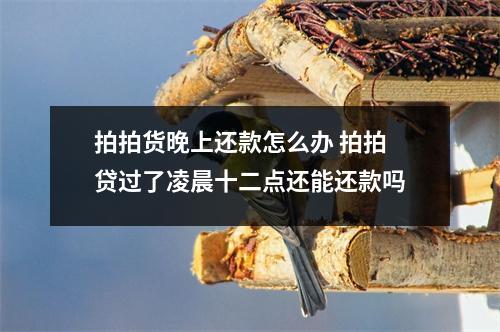 拍拍货晚上还款怎么办 拍拍贷过了凌晨十二点还能还款吗