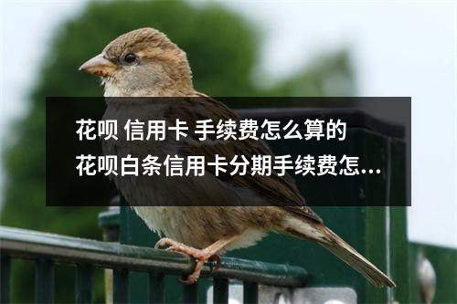 花呗 信用卡 手续费怎么算的 花呗白条信用卡分期手续费怎么算