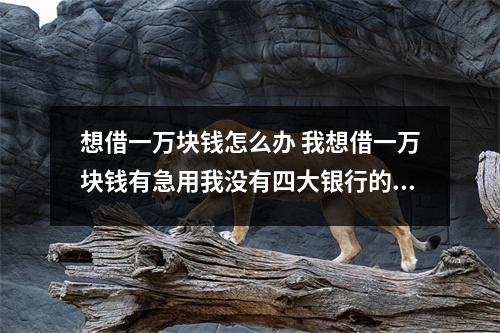 想借一万块钱怎么办 我想借一万块钱有急用我没有四大银行的卡怎么办