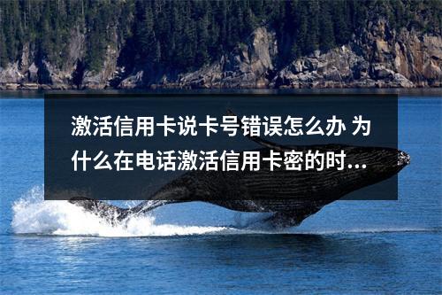 激活信用卡说卡号错误怎么办 为什么在电话激活信用卡密的时候输入十九位卡号语音提示说输入卡