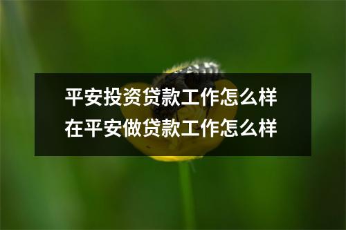 平安投资贷款工作怎么样 在平安做贷款工作怎么样