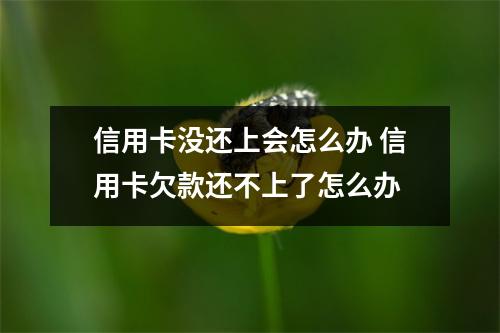 信用卡没还上会怎么办 信用卡欠款还不上了怎么办
