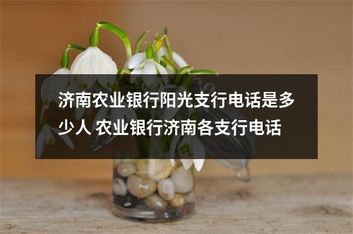 济南农业银行阳光支行电话是多少人 农业银行济南各支行电话