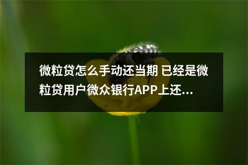 微粒贷怎么手动还当期 已经是微粒贷用户微众银行APP上还款简单吗