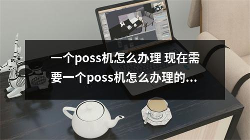 一个poss机怎么办理 现在需要一个poss机怎么办理的属个人的