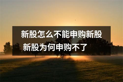 新股怎么不能申购新股 新股为何申购不了