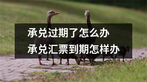 承兑过期了怎么办 承兑汇票到期怎样办