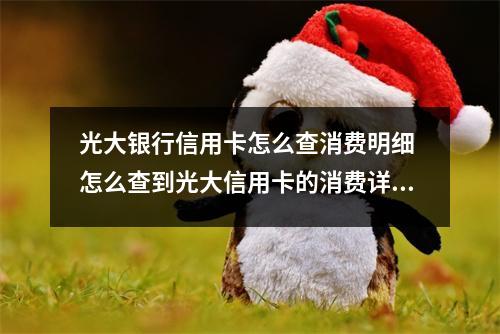 光大银行信用卡怎么查消费明细 怎么查到光大信用卡的消费详单