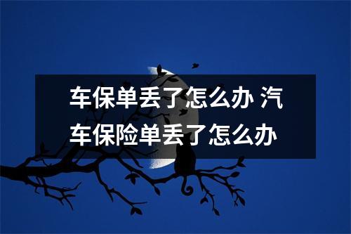 车保单丢了怎么办 汽车保险单丢了怎么办