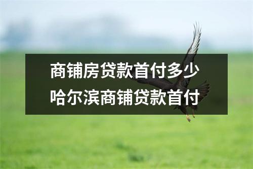 商铺房贷款首付多少 哈尔滨商铺贷款首付