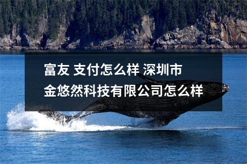 富友 支付怎么样 深圳市金悠然科技有限公司怎么样
