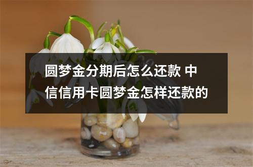 圆梦金分期后怎么还款 中信信用卡圆梦金怎样还款的
