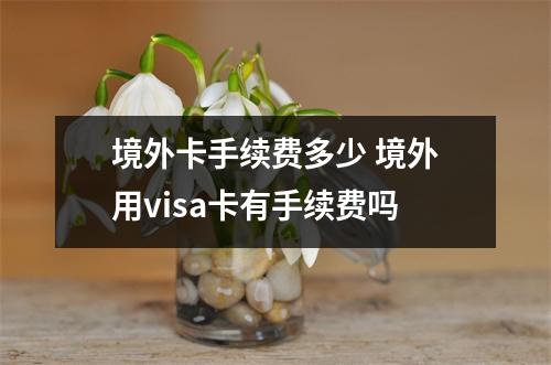境外卡手续费多少 境外用visa卡有手续费吗