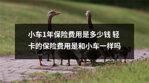 小车1年保险费用是多少钱 轻卡的保险费用是和小车一样吗