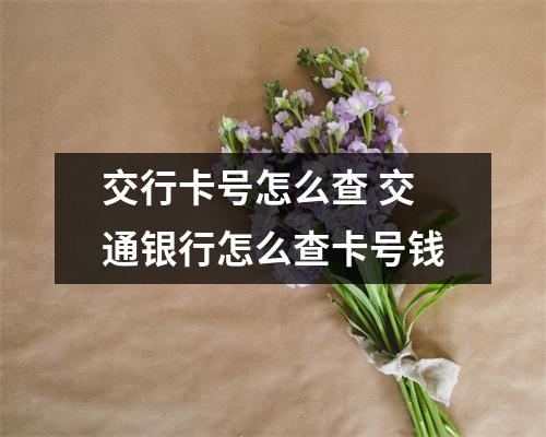 交行卡号怎么查 交通银行怎么查卡号钱
