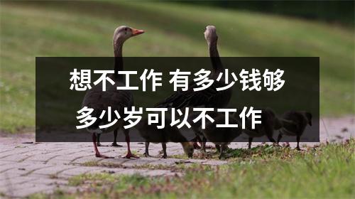 想不工作 有多少钱够 多少岁可以不工作