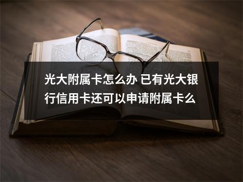 光大附属卡怎么办 已有光大银行信用卡还可以申请附属卡么