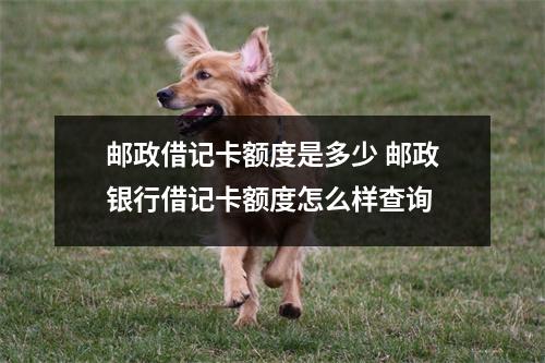 邮政借记卡额度是多少 邮政银行借记卡额度怎么样查询