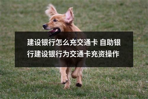 建设银行怎么充交通卡 自助银行建设银行为交通卡充资操作