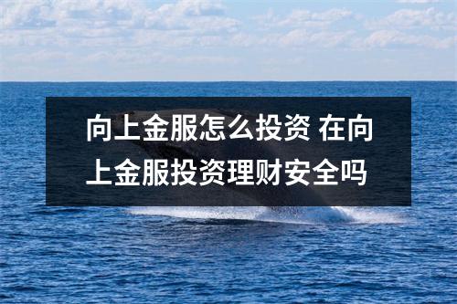 向上金服怎么投资 在向上金服投资理财安全吗
