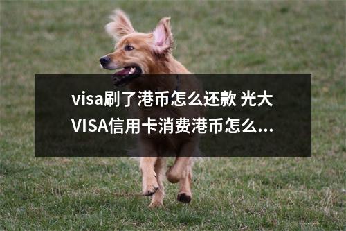 visa刷了港币怎么还款 光大VISA信用卡消费港币怎么还款有格外费用吗