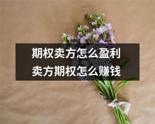 期权卖方怎么盈利 卖方期权怎么赚钱