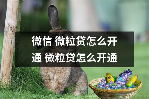 微信 微粒贷怎么开通 微粒贷怎么开通