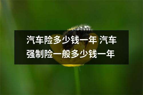 汽车险多少钱一年 汽车强制险一般多少钱一年