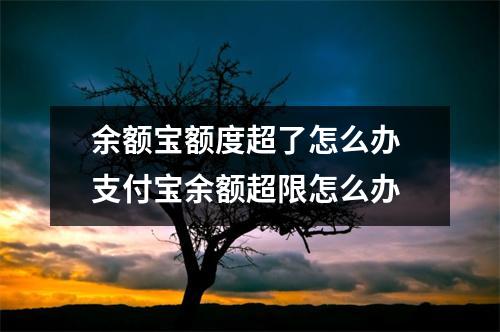 余额宝额度超了怎么办 支付宝余额超限怎么办
