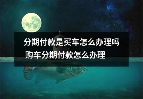 分期付款是买车怎么办理吗 购车分期付款怎么办理