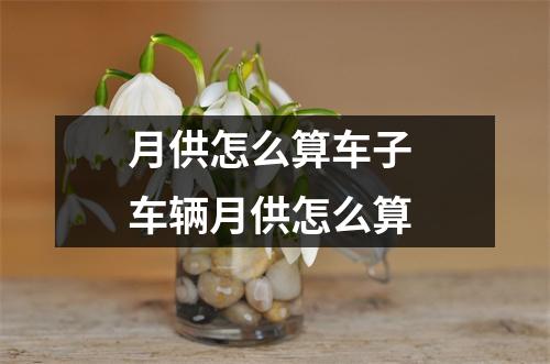 月供怎么算车子 车辆月供怎么算